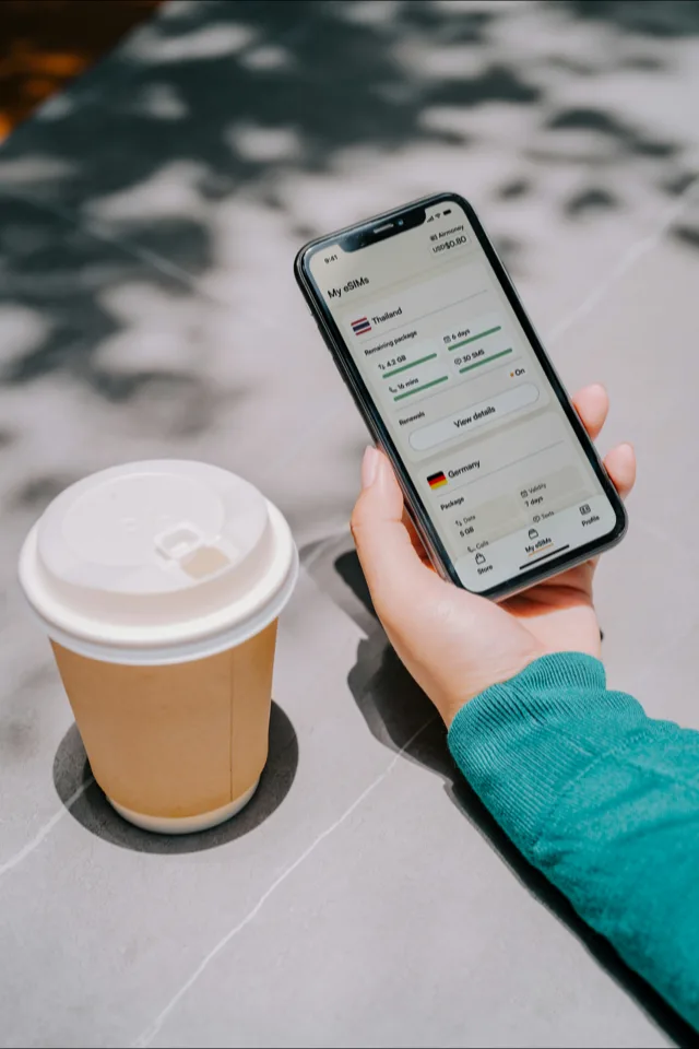 A smartphone showing a travel eSIM data plan