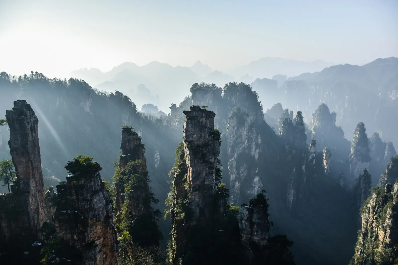 The Avatar Hallelujah sandstone pillars rising through mist in Zhangjiajie
