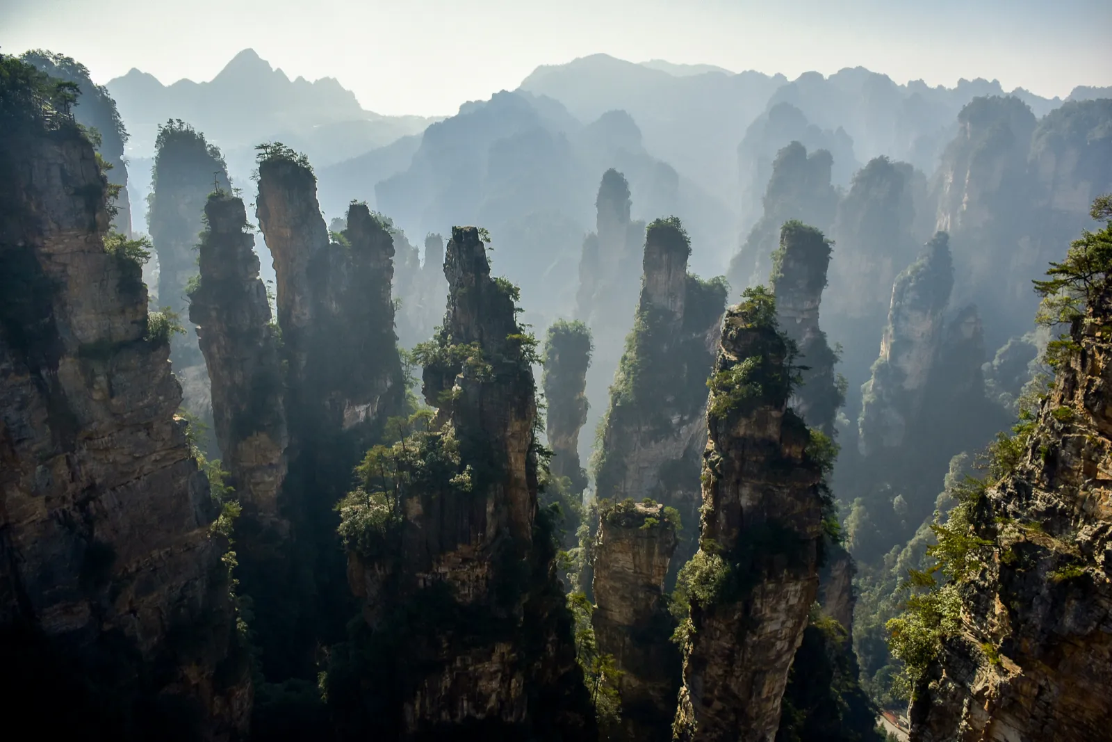 Sandstone pillars of Zhangjiajie National Forest Park in mist