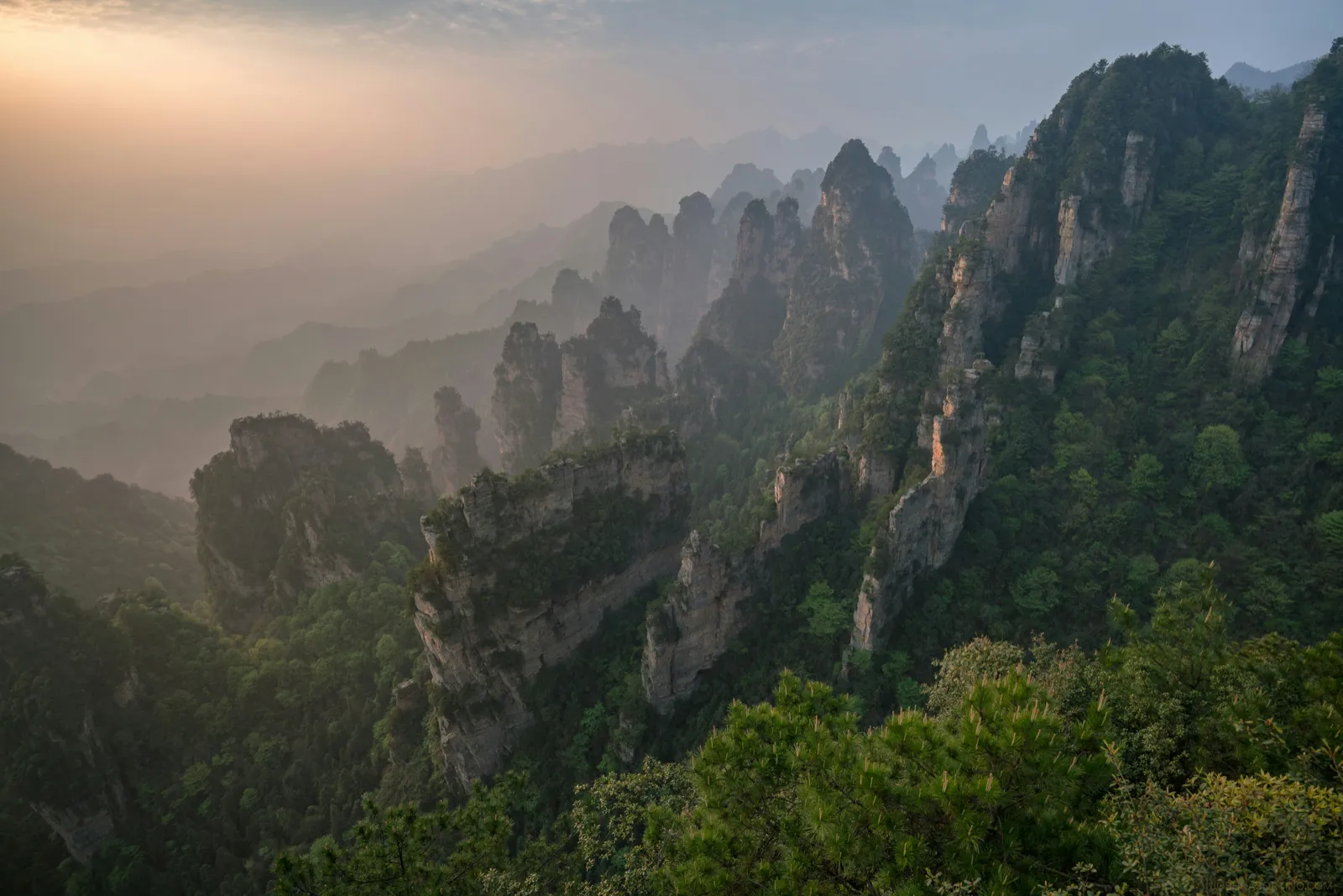 Towering quartz-sandstone columns in Zhangjiajie, Hunan